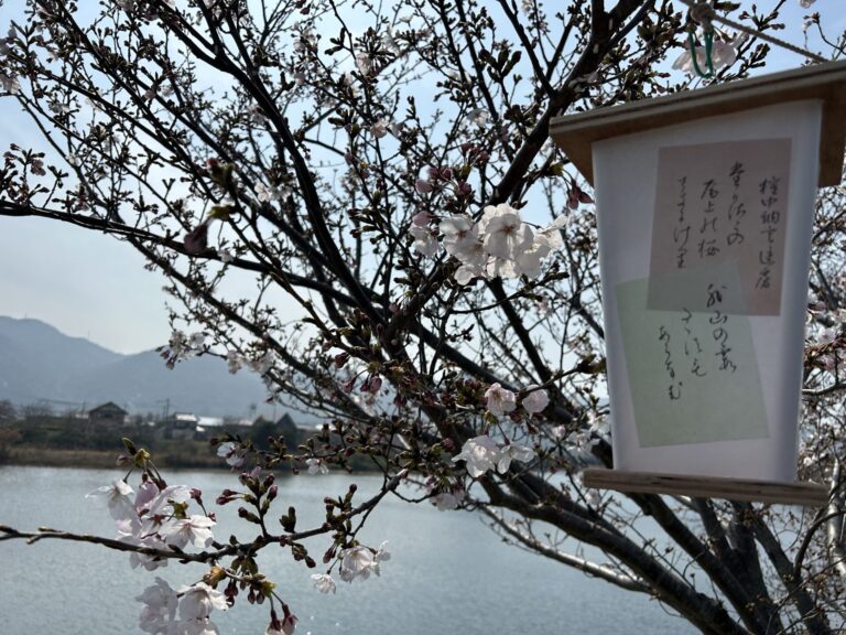 さくらまつり初出展！in川島！